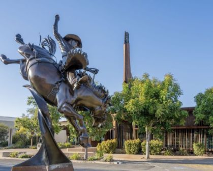 Picture of Bronze statue of a rodeo rider at the Waltzing Matilda Centre.